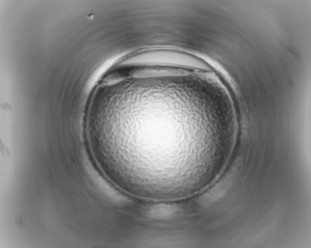 X0000091101333200708131059