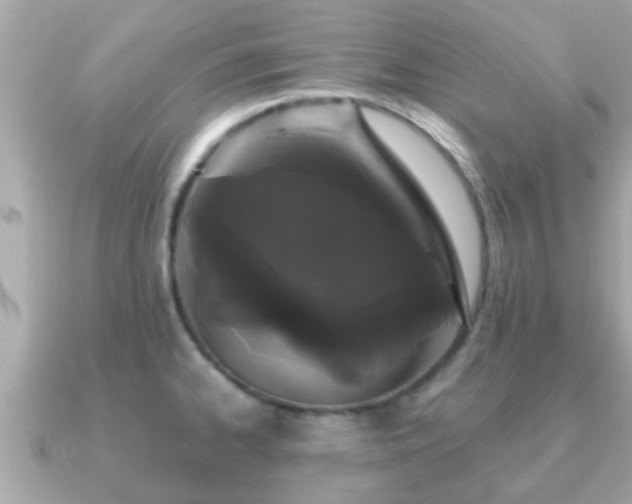 X0000091101334200708131059