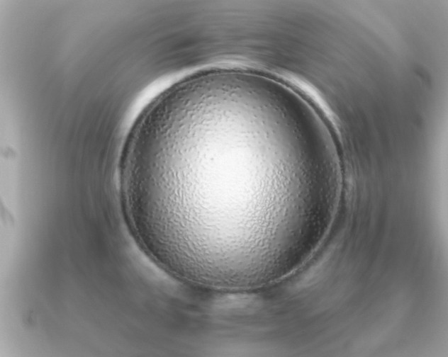 X0000091101335200708131059