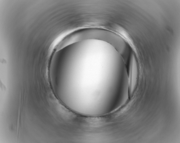 X0000091101336200708131059