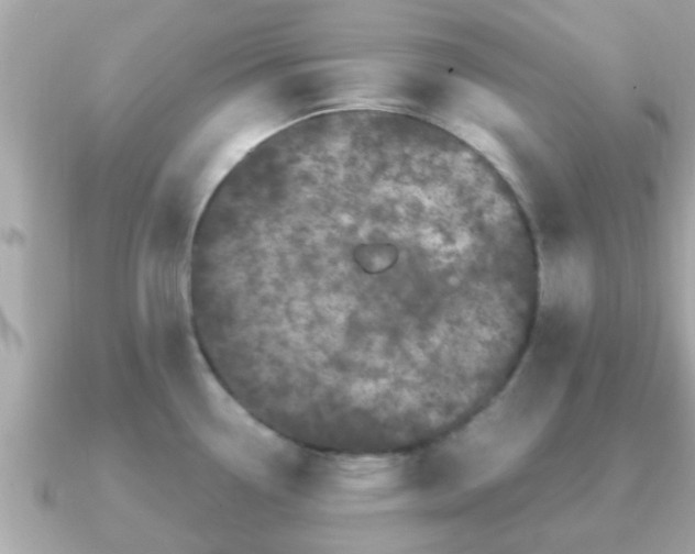 X0000091101338200708131059