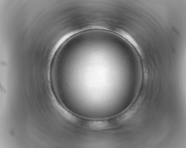 X0000091101339200708131059