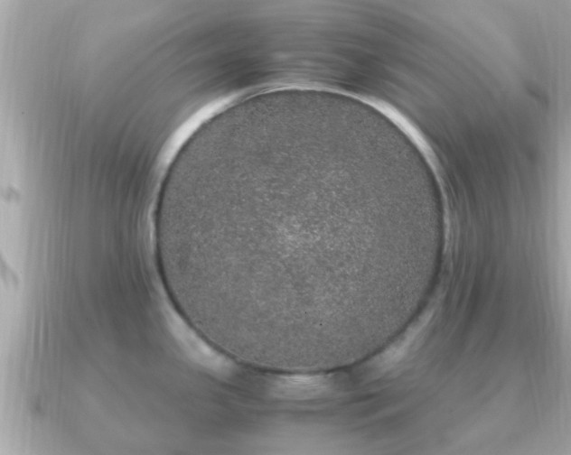 X0000091101341200708131059