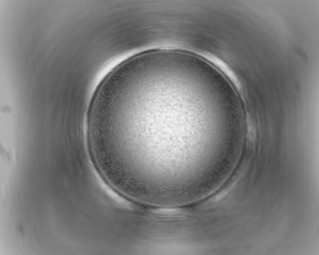 X0000091101343200708131059