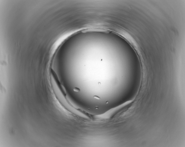 X0000091101344200708131059