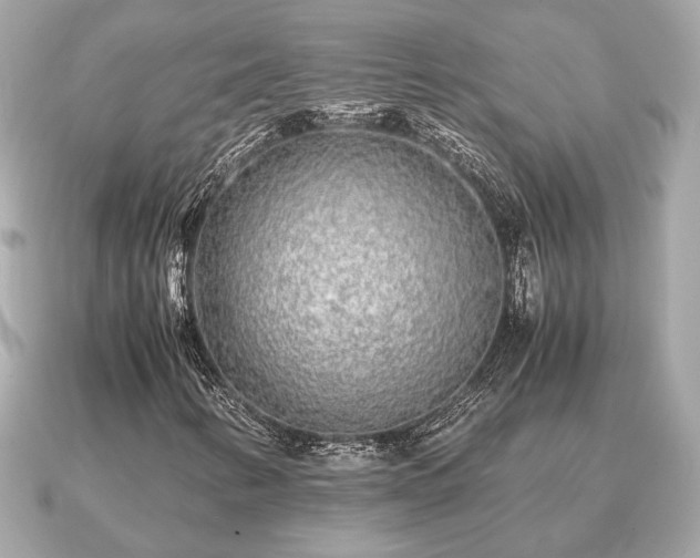 X0000091101346200708131059