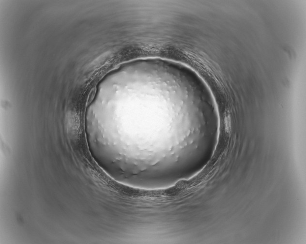 X0000091101347200708131059