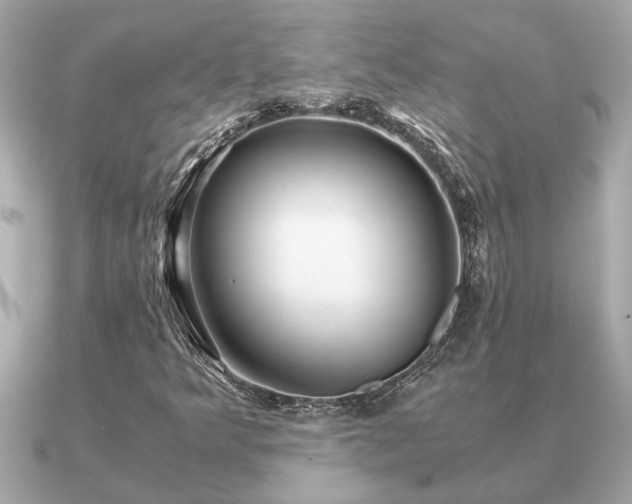 X0000091101349200708131059