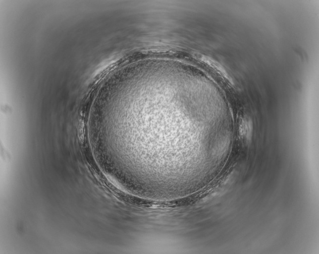 X0000091101350200708131059