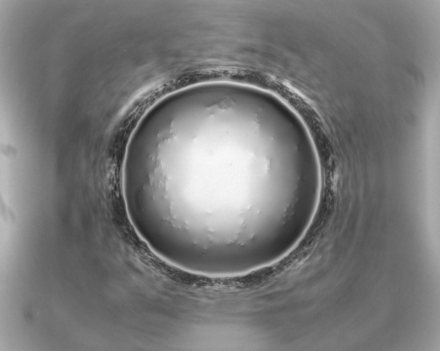 X0000091101351200708131059