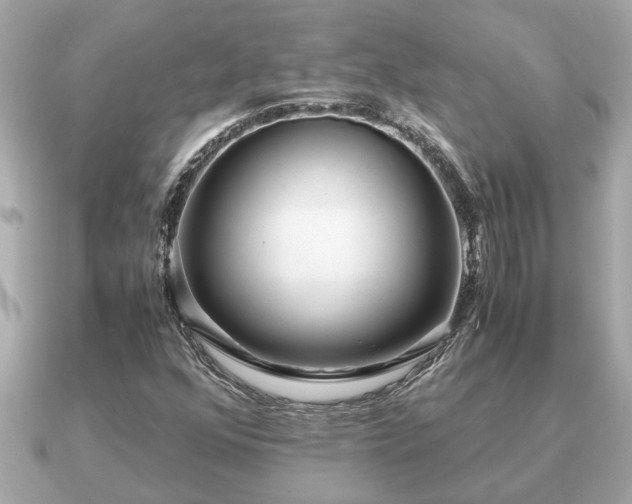 X0000091101352200708131059