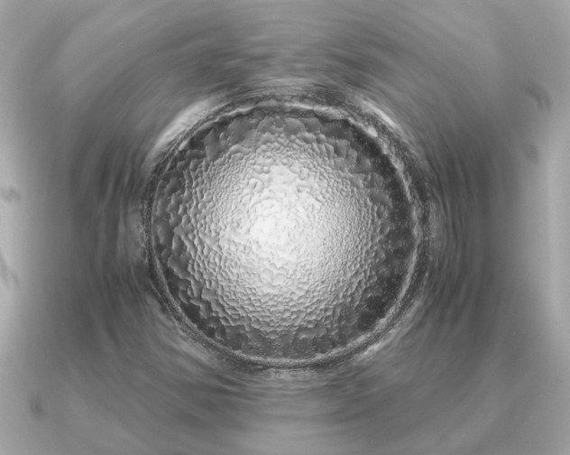 X0000091101354200708131059