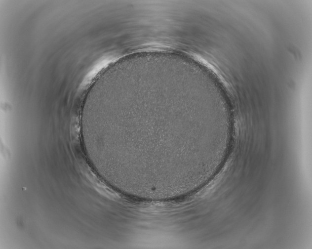 X0000091101355200708131059