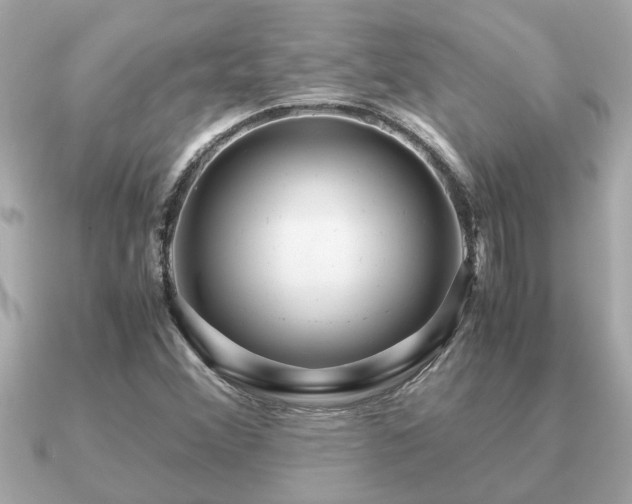 X0000091101356200708131059