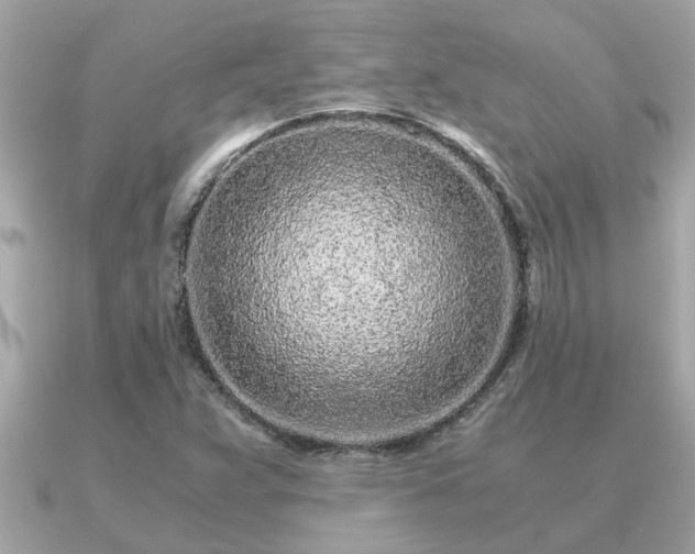 X0000091101359200708131059