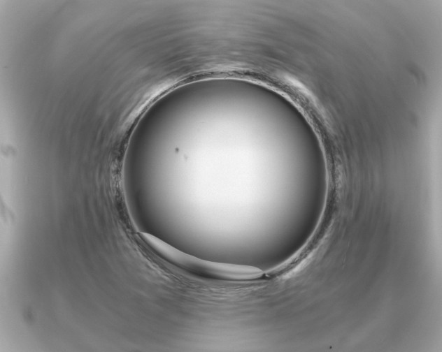 X0000091101361200708131059