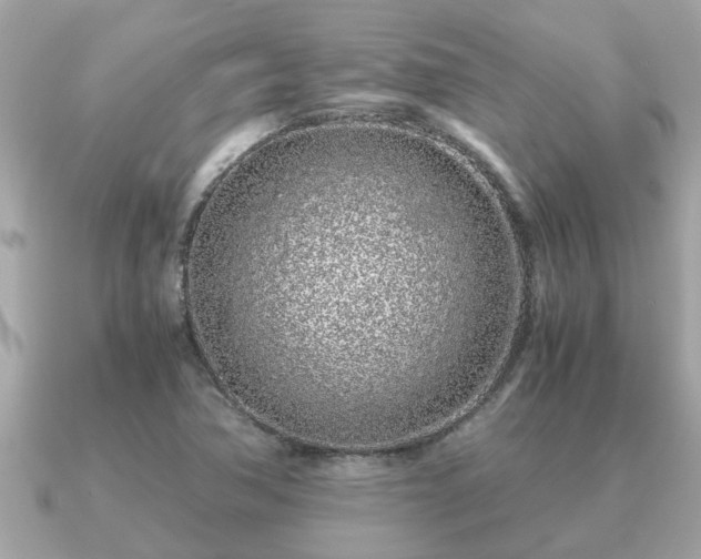 X0000091101362200708131059