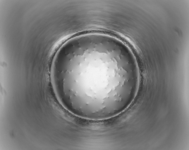 X0000091101363200708131059