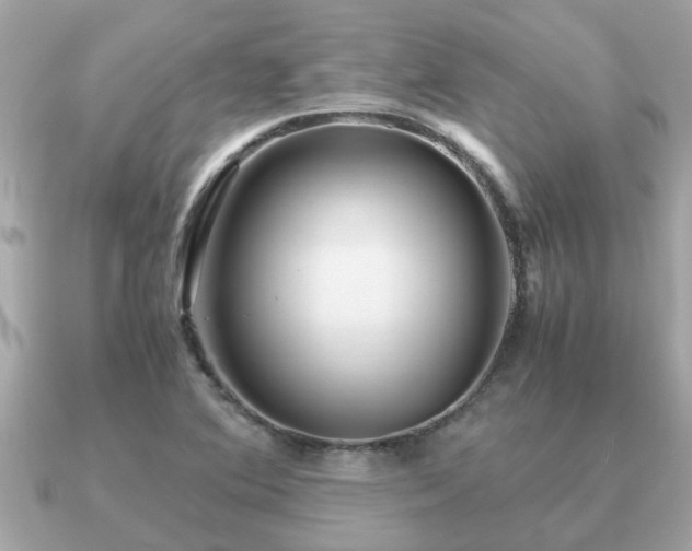 X0000091101364200708131058