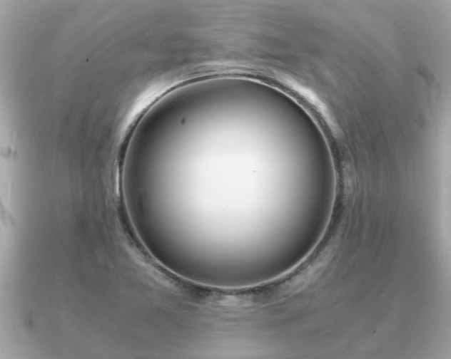 X0000091101365200708131058