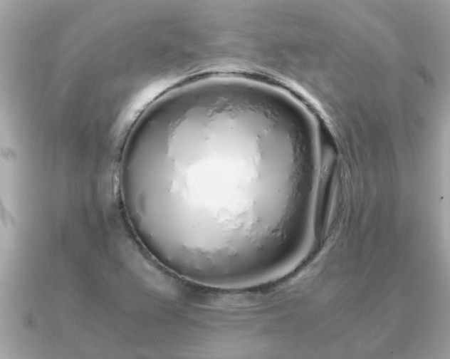 X0000091101367200708131058