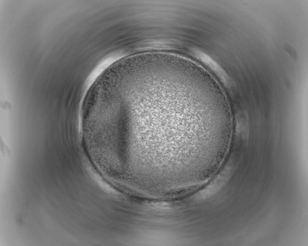 X0000091101370200708131058