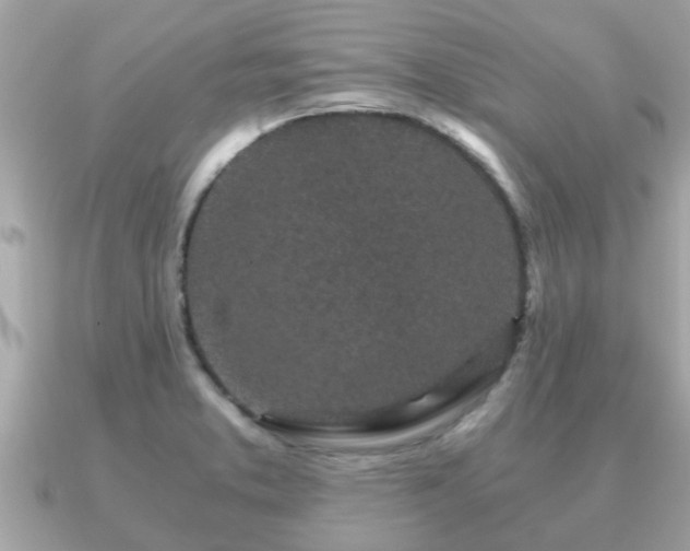 X0000091101373200708131058