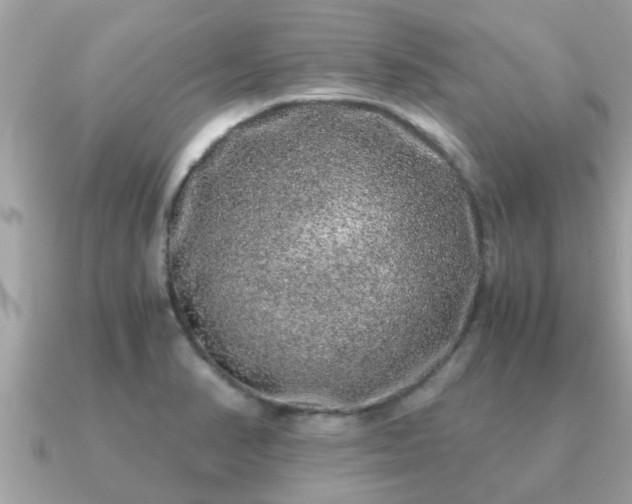 X0000091101374200708131058