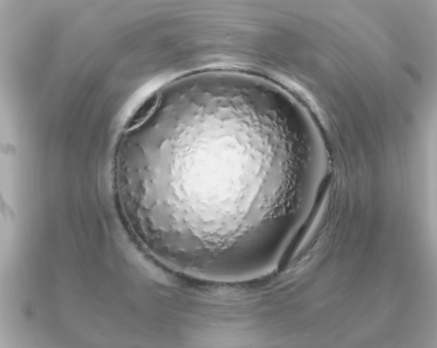 X0000091101375200708131058