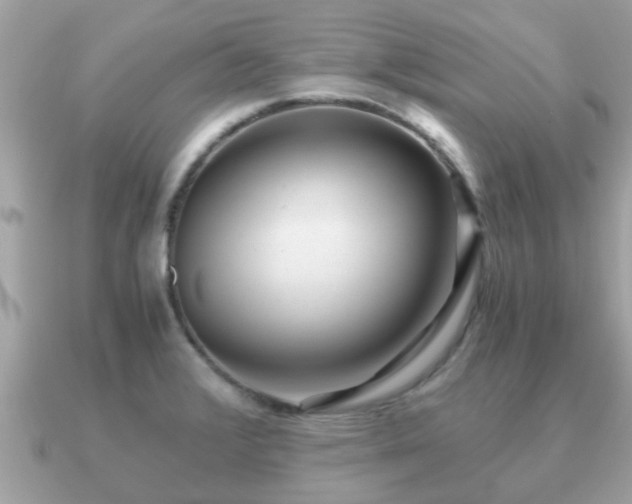 X0000091101376200708131058