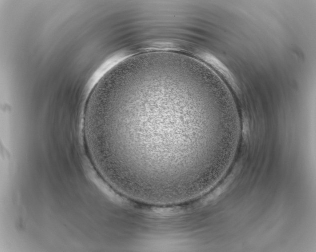 X0000091101378200708131058