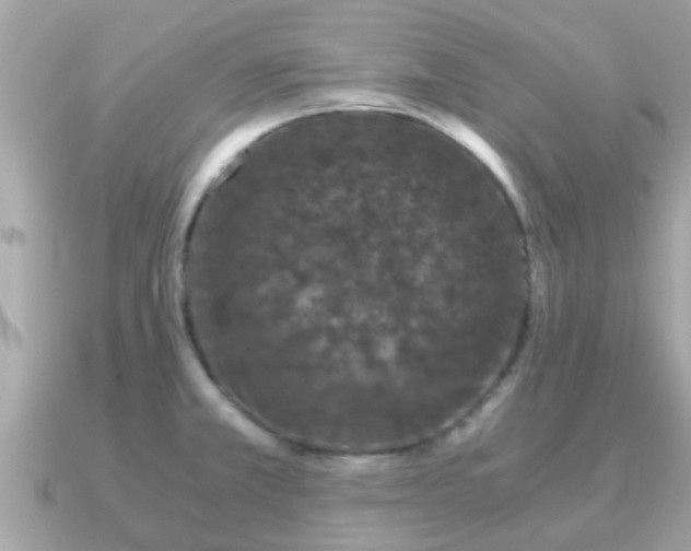 X0000091101381200708131058