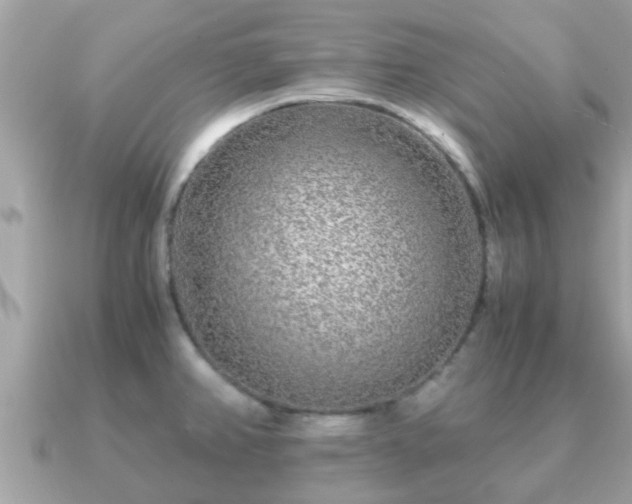 X0000091101382200708131058