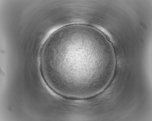 X0000091101383200708131058