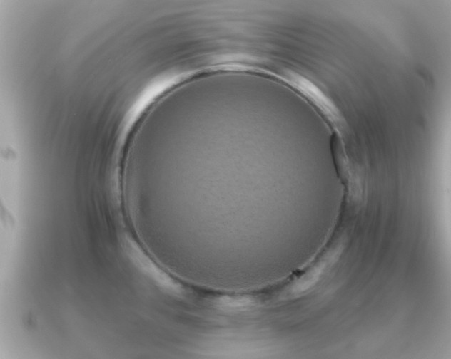 X0000091101384200708131058