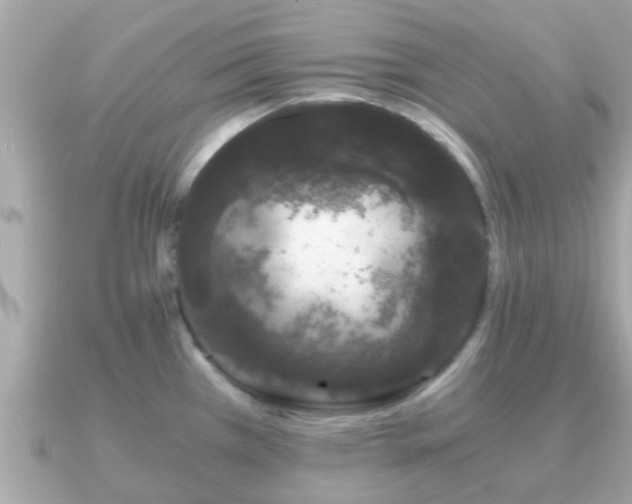 X0000091101385200708131058