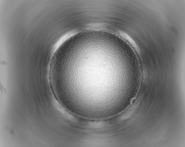 X0000091101386200708131058