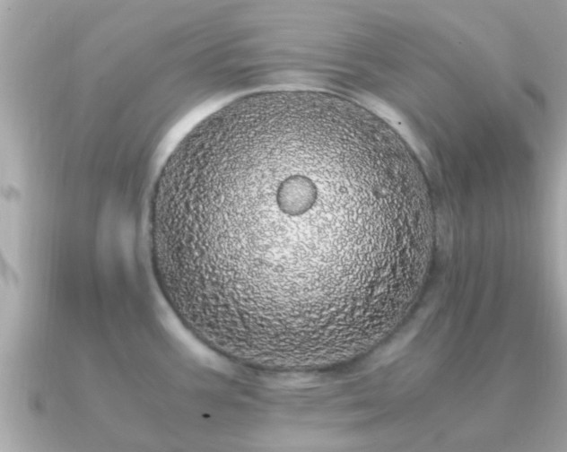 X0000091101387200708131058