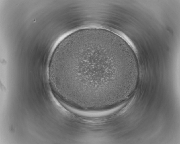 X0000091101388200708131058