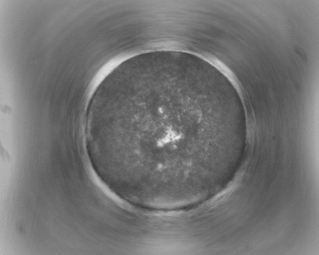 X0000091101389200708131058