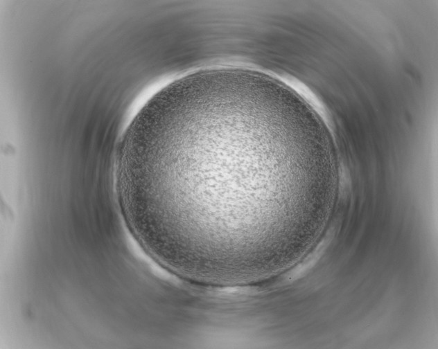 X0000091101390200708131058