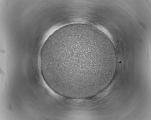 X0000091101391200708131058