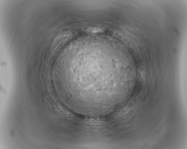 X0000091101393200708131058