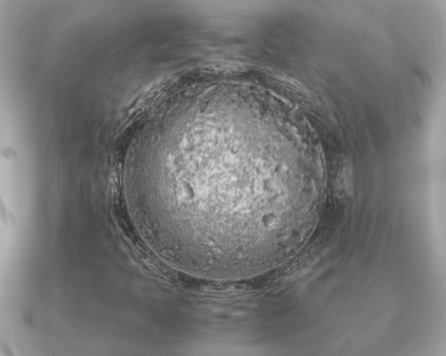 X0000091101397200708131058