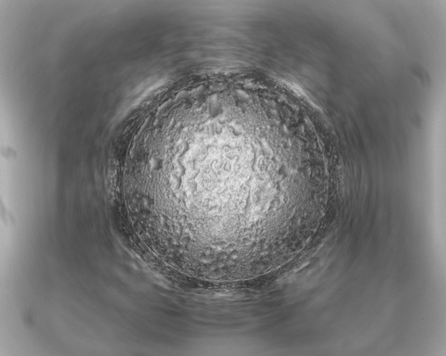 X0000091101399200708131058