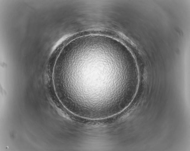 X0000091101400200708131058