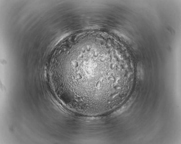 X0000091101401200708131058