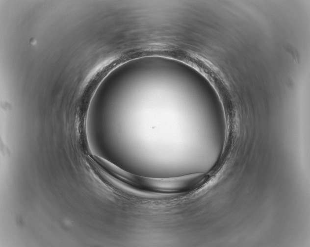 X0000091101402200708131058