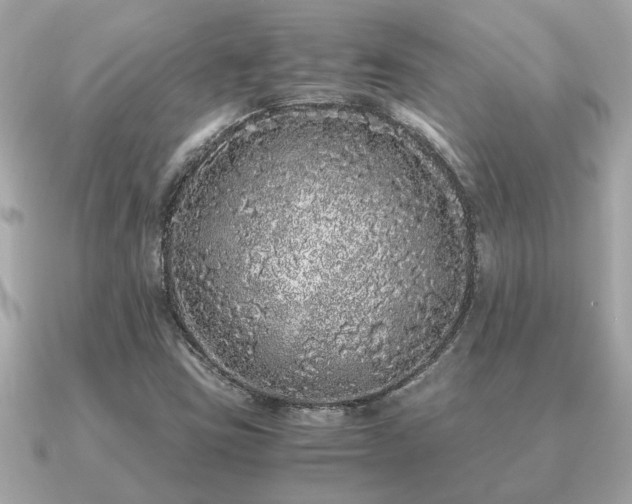 X0000091101403200708131058