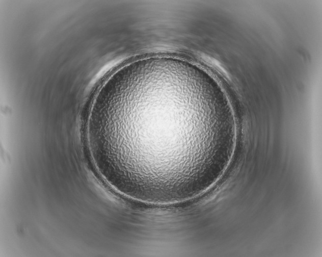 X0000091101404200708131058